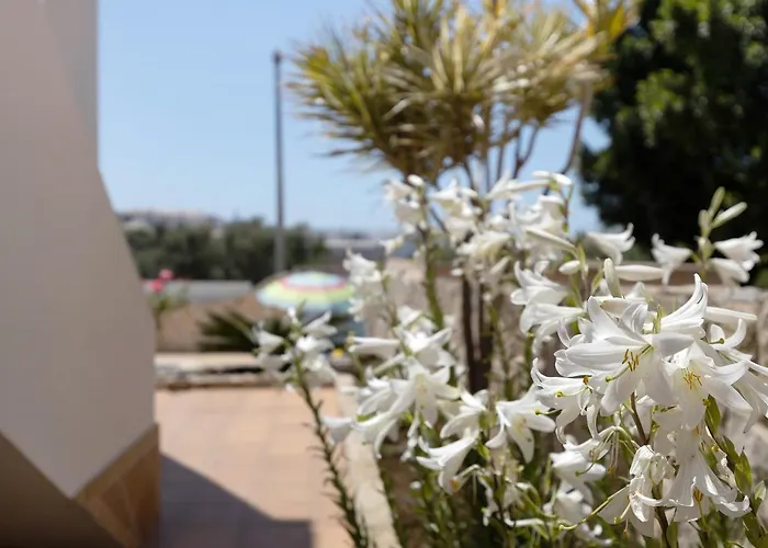 Casa Atlântico Nº5 *